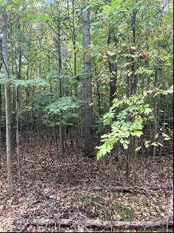 Ironwood Drive Parcel 11, Cheboygan MI 49721