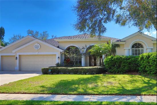 4324 Auston Way, Palm Harbor FL 34685