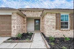 7438 Audubon Russet Drive, Richmond TX 77469