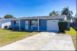 10245 Regency Park Boulevard, Port Richey FL 34668