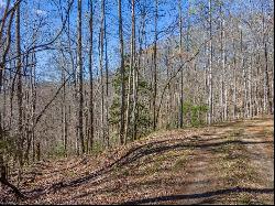 TBD Wayah Road, Franklin NC 28734