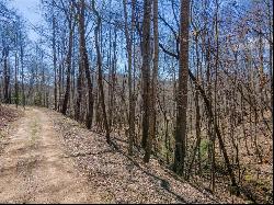 TBD Wayah Road, Franklin NC 28734