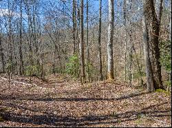 TBD Wayah Road, Franklin NC 28734