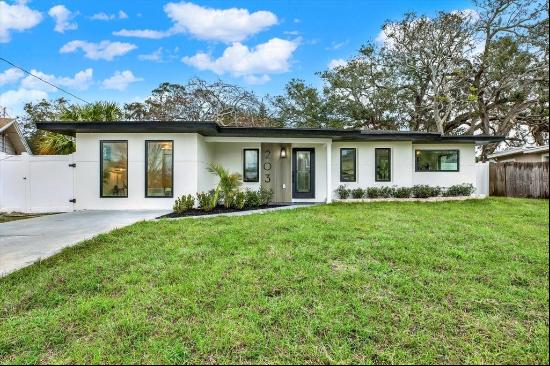 203 Driftwood Drive W, PALM HARBOR, FL, 34683