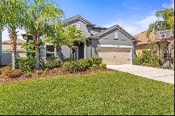 1435 Montgomery Bell Road, WESLEY CHAPEL, FL, 33543