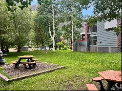 Elevated Mountain Living in Historic Downtown Telluride  