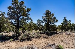 Canyon View Loop #Lot #168 Bend, OR 97701