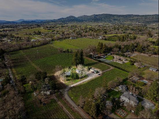 Persistence Vineyard and Estate Property 