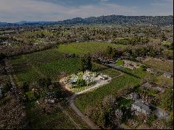 Persistence Vineyard and Estate Property 