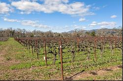 Persistence Vineyard and Estate Property 