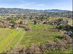 Persistence Vineyard and Estate Property 