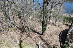 Lot 3 New Trillium Way, Cashiers, NC 28717