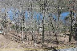 Lot 3 New Trillium Way, Cashiers, NC 28717