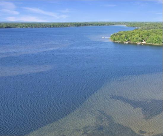 Sand Lake Twp Land