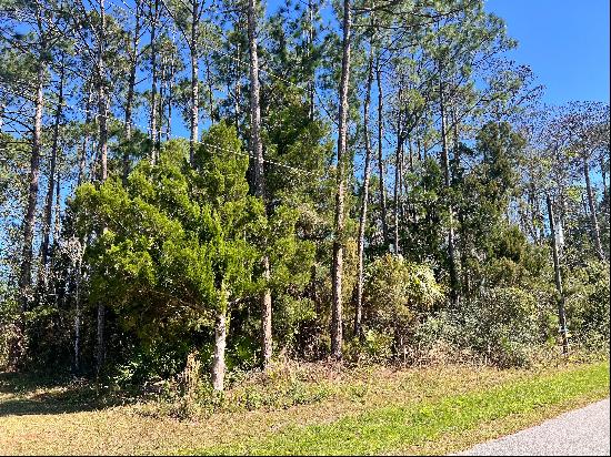 179 Ullian Trail,Palm Coast, FL, 32164