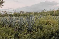 HACIENDA SERENITY OASIS RETREAT