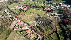 Seven-bedroom wine estate for sale in Felgueiras, Northern Portugal