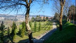 Seven-bedroom wine estate for sale in Felgueiras, Northern Portugal