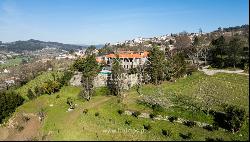 Seven-bedroom wine estate for sale in Felgueiras, Northern Portugal