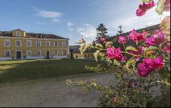 Homestead, Nazaré