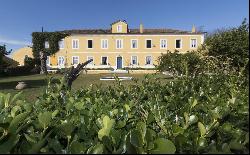 Homestead, Nazaré