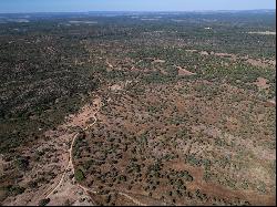 Estate 145 Hectares with Ruins