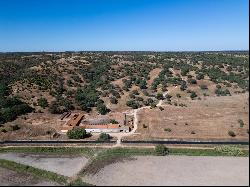 Estate 145 Hectares with Ruins