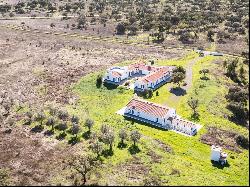 Monte Alentejano T4 with 28 Hectares