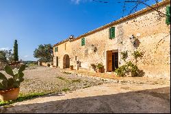 Finca, Ariany, Mallorca, Spain, 07520