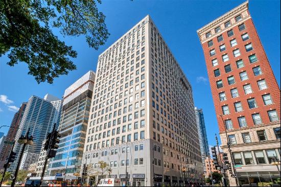 910 S MICHIGAN Avenue #704, Chicago IL 60605