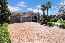 7133 Hatpin Loop, Wesley Chapel FL 33545