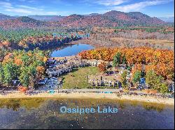 50 Patch Pond Road Unit 6, Ossipee NH 03814