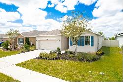 1189 Pipestone Place, Wesley Chapel FL 33543