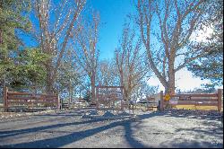 4485 Silver Creek Rd, Buhl ID 83316