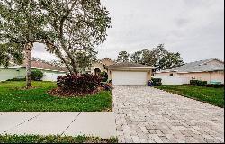 1526 River Court, Tarpon Springs FL 34689