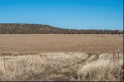 McKenzie Canyon Road Terrebonne, OR 97760