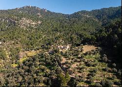 Historic Estate - Finca de sa Fortuny in Estellencs