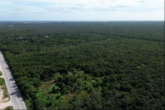 Tulum