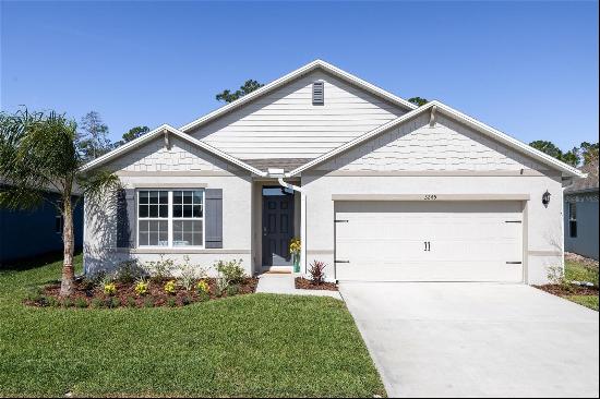 NEW SMYRNA BEACH Residential