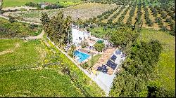 Exclusive sustainable property just 15 minutes from Seville