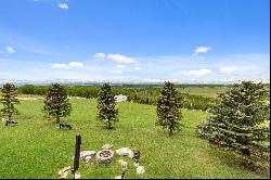 Rural Foothills County, Calgary and Foothills