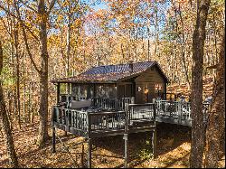 Recently Renovated Log-Style Cabin in Cherry Log