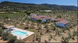 Estate with olive grove and country house in class A1, Galtelli, Nuoro