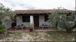 Estate with olive grove and country house in class A1, Galtelli, Nuoro