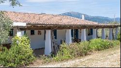 Estate with olive grove and country house in class A1, Galtelli, Nuoro