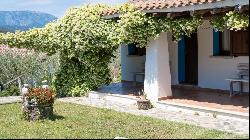 Estate with olive grove and country house in class A1, Galtelli, Nuoro