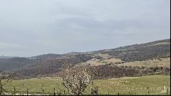 Farm Il Borgo sul Lago, Passignano sul Trasimeno, Perugia - Umbria