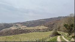 Farm Il Borgo sul Lago, Passignano sul Trasimeno, Perugia - Umbria