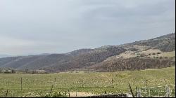 Farm Il Borgo sul Lago, Passignano sul Trasimeno, Perugia - Umbria