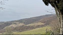 Farm Il Borgo sul Lago, Passignano sul Trasimeno, Perugia - Umbria